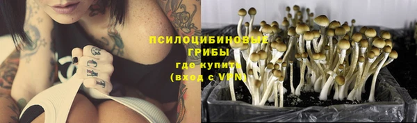 ешки Алзамай