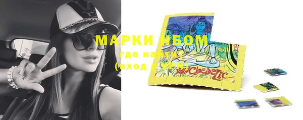 МДПВ Новозыбков