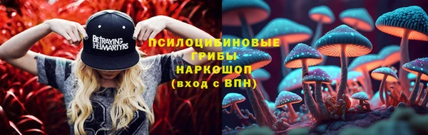 МДПВ Новозыбков